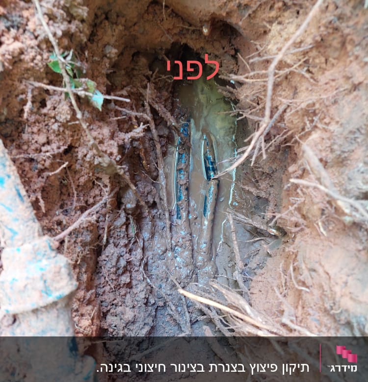 צינור מים שבור באדמה עם בוץ ושרשים